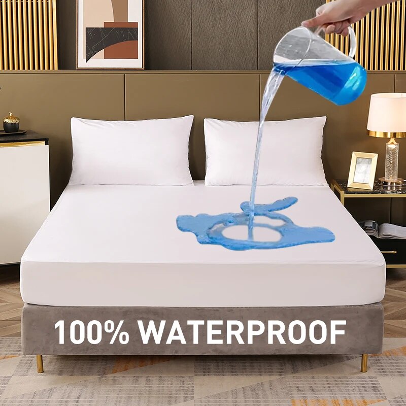 Quick Dry Diatomite Bath Mat - Cute Dachshund Dog Bath Mat Absorbent